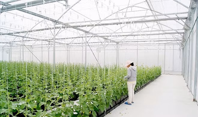 Doanh nghiệp vừa và nhỏ vẫn chưa tiếp cận được vốn ngân hàng, thậm chí phải đi vay “tín dụng đen” để sản xuất, kinh doanh. Ảnh minh họa. Doanh nghiệp vừa và nhỏ vẫn chưa tiếp cận được vốn ngân hàng, thậm chí phải đi vay “tín dụng đen” để sản xuất, kinh doanh. Ảnh minh họa.