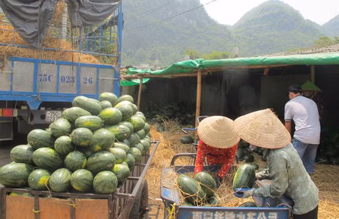Trung Quốc đang là thị trường xuất khẩu chính của nhiều loại nông sản Việt Nam. Ảnh: minh hoạ Internet.