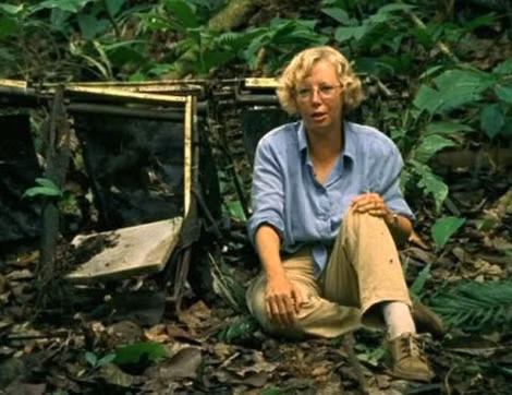 Năm 1980, Juliane Koepcke trở lại thăm nơi máy bay rơi.