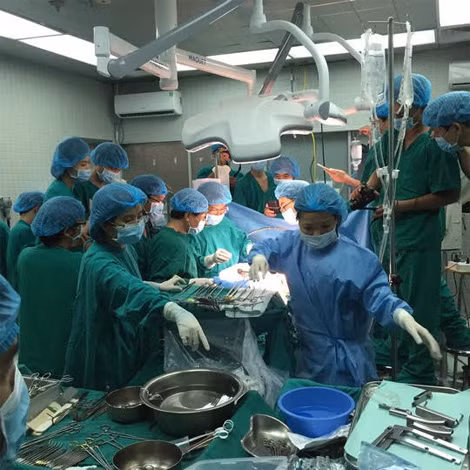Ca ghép đa tạng.