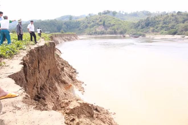 Một đoạn bờ sông Krông Nô bị sạt lở nghiêm trọng. Một đoạn bờ sông Krông Nô bị sạt lở nghiêm trọng.