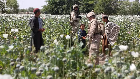 Lính Mỹ trò chuyện với người dân tại một cánh đồng trồng cây thuốc phiện ở Afghanistan.