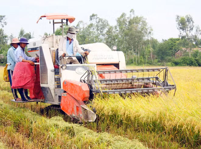 Vụ lúa Đông Xuân 2017 – 2018 trúng mùa, được giá, nông dân phấn khởi.