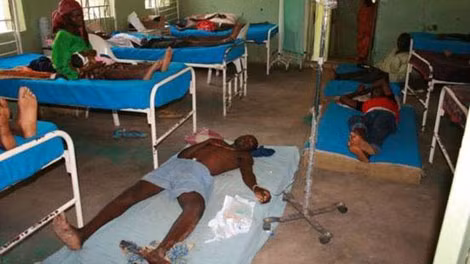 Những nạn nhân bị rắn cắn ở Nigeria.