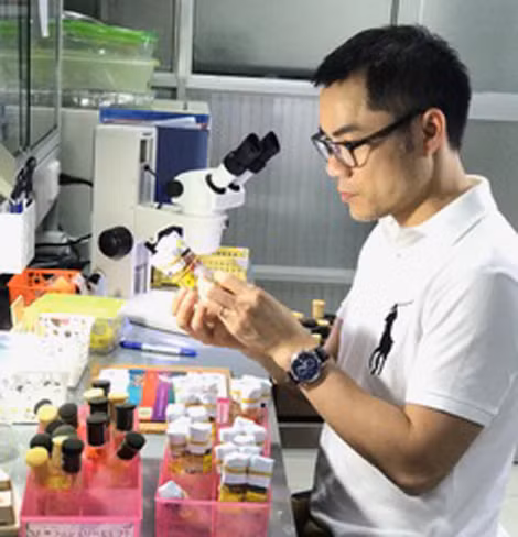 TS. Nguyễn Trọng Tuệ đang nghiên cứu về ruồi giấm.