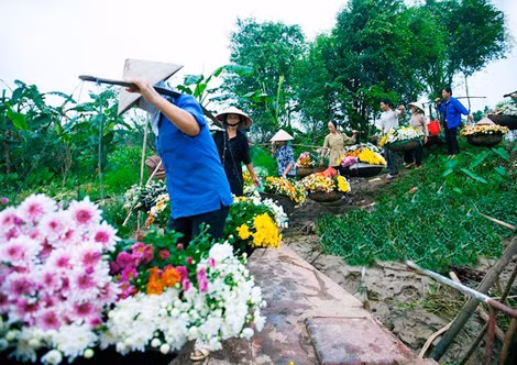 Hoa theo người về phố. Hoa theo người về phố.