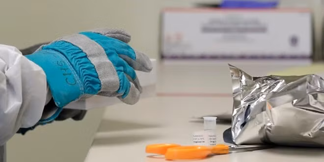 Một số người tham gia có thể nhận được liều vaccine cao hơn, để xem liều nào là hiệu quả nhất. Trong ảnh: Dược sĩ đeo găng tay đặc biệt khi mở gói đông lạnh vaccine COVID-19 đang được nghiên cứu.