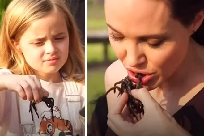 Angelina Jolie và các con thích ăn côn trùng.