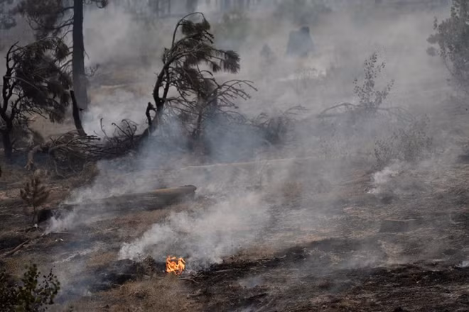 Mùa cháy rừng ở Mỹ bắt đầu sớm và nghiêm trọng hơn. Ảnh Reuters.