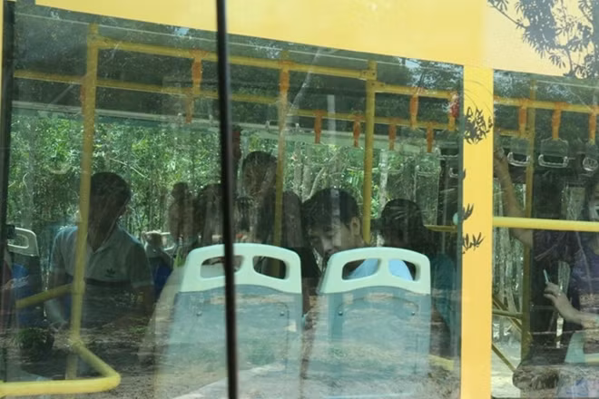 Du khánh tham quan Safari Phú Quốc bằng xe bus