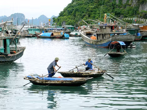 Làng chài Cửa Vạn được chọn là mục tiêu ban đầu triển khai dự án. Làng chài Cửa Vạn được chọn là mục tiêu ban đầu triển khai dự án.