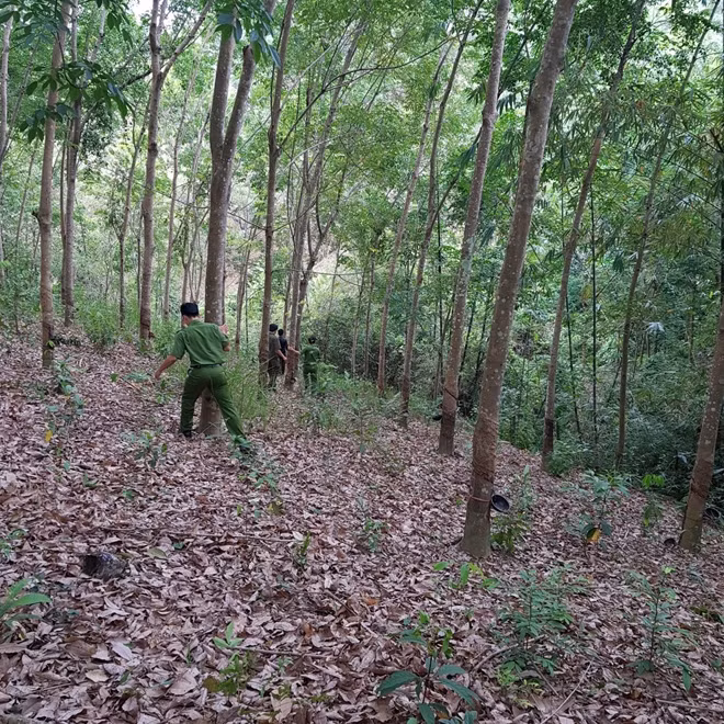 Hiện trường vụ việc