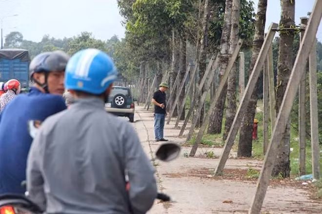 Hiện trường vụ việc
