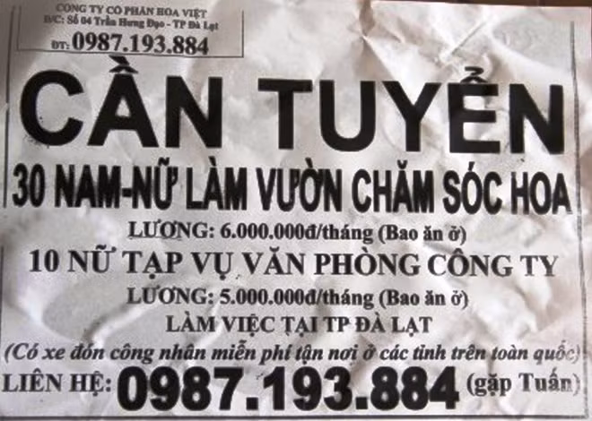 Công ty TNHH Giới thiệu việc làm và Cung ứng lao động Tâm Đức Lộc