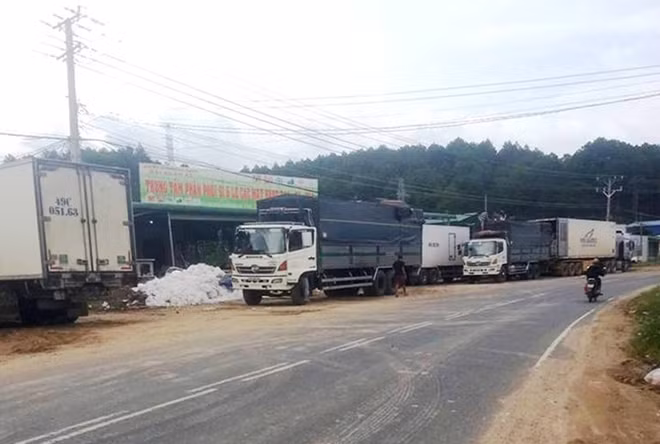 “Trạm hóa trang” nông sản Trung Quốc thành nông sản Đà Lạt tại thị trấn Thạnh Mỹ, huyện Đơn Dương của Công ty TNHH Đài Xuân Ái
