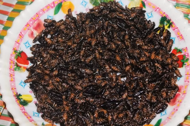 Mối được làm sạch bộ cánh, rồi chế biến thành nhiều món khác nhau như mối hấp, mối nấu với lá bép (loại lá cây rừng), cà đắng, nấu cháo, thậm chí bà con còn giã nhuyễn để nấu với bí ngô và bí đao, ngọt hơn cả nấu với tôm tép.