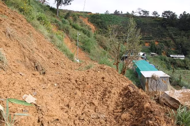 Toàn bộ trại nuôi heo của gia đình bà Nguyễn Thị Thanh Bình bị đất chôn vùi