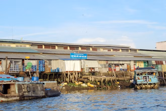 Công ty TNHH Châu Việt Long liên tiếp vi phạm và tái vi phạm về công tác bảo vệ môi trường tại Chợ đầu mối thủy hải sản Châu Việt Long.