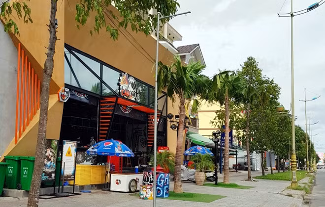 Người dân cho rằng 2 cây cọ trước cửa Nhà hàng Cáo và Cừu Beer Garden nhìn rất kì, không đồng nhất với hàng cây sao đen, làm mất mỹ quan đô thị.