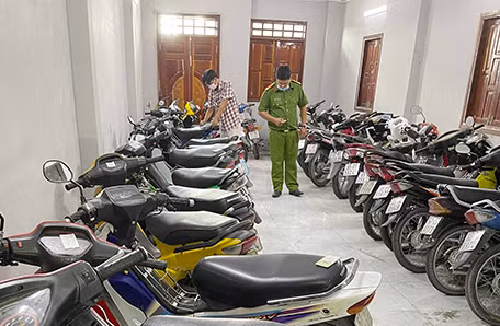 Các Tổ công tác lập biên bản vi phạm hành chính, tạm giữ tang vật liên quan. Các Tổ công tác lập biên bản vi phạm hành chính, tạm giữ tang vật liên quan.