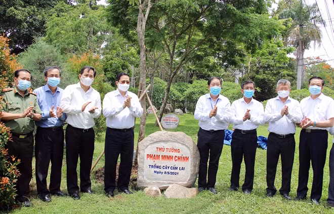 Thủ tướng Phạm Minh Chính cùng các đại biểu trồng cây lưu niệm tại khuôn viên trường Đại học Cần Thơ.