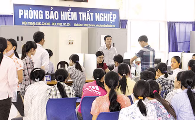 Chưa có con số thống kê cụ thể, tuy nhiên số lượng người đến các trung tâm dịch vụ việc làm hoàn thiện hồ sơ nhận bảo hiểm thất nghiệp ngày càng tăng.