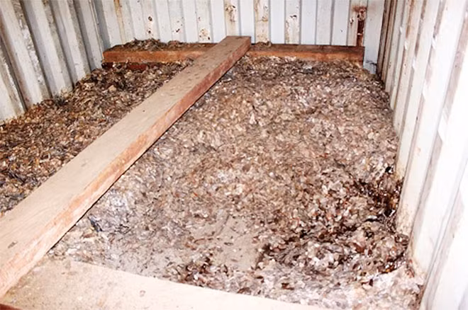 Container chứa vảy têtê được ngụy trang dưới các khối gỗ.