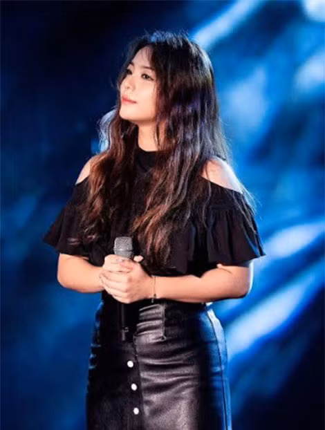 Sau khi xuất hiện trên vài chương trình truyền hình, Ailee bắt đầu tham gia diễn xuất trong phim truyền hình. Đến nay, Ailee đã sở hữu trong tay một bộ sưu tập các giải thưởng âm nhạc lớn.