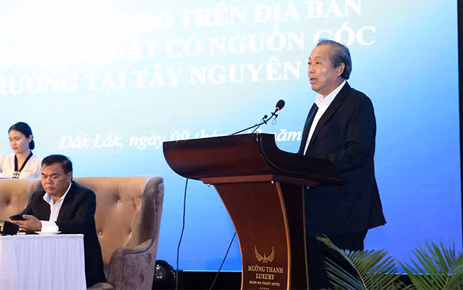 Phó Thủ tướng Trương Hòa Bình phát biểu tại Hội nghị. - Ảnh: VGP/Lê Sơn Phó Thủ tướng Trương Hòa Bình phát biểu tại Hội nghị. - Ảnh: VGP/Lê Sơn