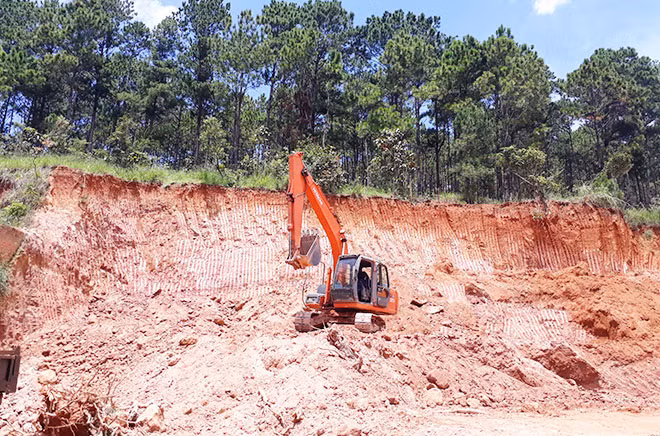 Một vụ san ủi đất đã “ăn” sát vào rừng thông tại thị trấn Nam Ban, huyện Lâm Hà.