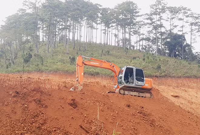 Nhiều hecta rừng ở Lâm Đồng bị biến mất vì giao đất cho dự án.