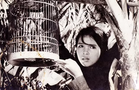 Diễn viên Tố Uyên.