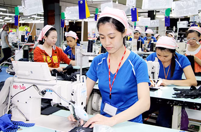 Nếu DN không nỗ lực tận dụng được thì các FTA sẽ trở nên vô nghĩa.