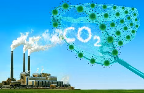 Các thành viên nghiên cứu lấy lõi đá được xử lý bằng bơm hỗn hợp CO2 và nước.