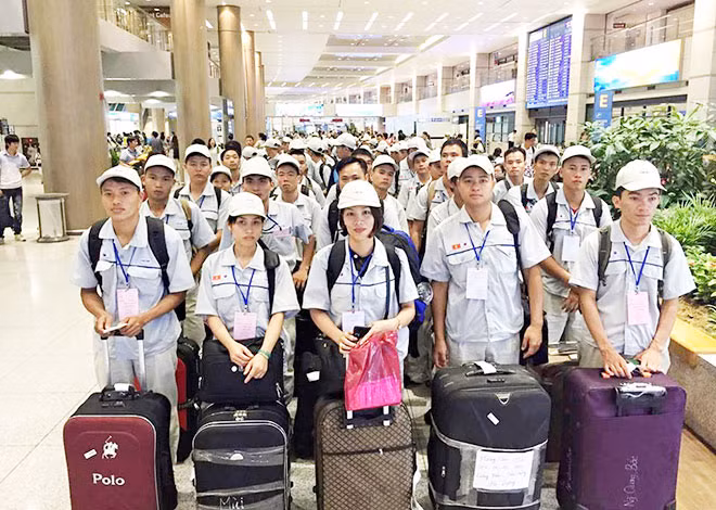Thị trường xuất khẩu lao động được dự báo là sẽ nhộn nhịp những tháng cuối năm.