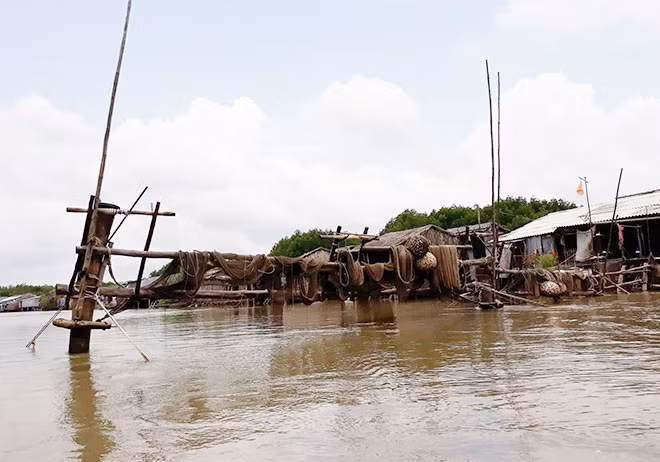 Người dân đóng đăng trên sông ở Cà Mau, gây cản trở giao thông và tiềm ẩn TNGT đường thủy.