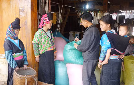Thay vì hỗ trợ tiền, Nhà nước có thể hỗ trợ 50% giống, thuốc trừ sâu... để người dân có điều kiện canh tác, sản xuất.