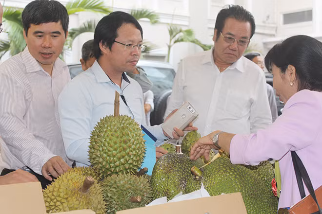 Đại biểu dự hội thảo khảo sát mô hình sản xuất sầu riêng theo tiêu chuẩn VietGap ở HTX Xuân Định.