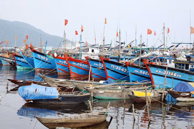 Đoàn thanh tra của EC đề nghị Việt Nam kiểm soát số lượng tàu cá đóng mới thay thế không vượt quá quy hoạch. Đoàn thanh tra của EC đề nghị Việt Nam kiểm soát số lượng tàu cá đóng mới thay thế không vượt quá quy hoạch.