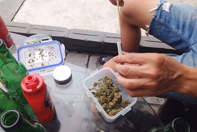 Hãy tránh xa “cỏ K” khi chưa muộn.
