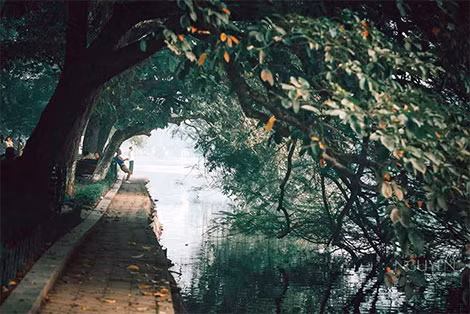 Nhịp đời. Ảnh: Nguyễn Hoàng Lâm.