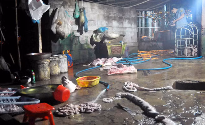 Vụ giết mổ heo lậu - hành vi này hiện nay mới chỉ xử ở mức vi phạm hành chính là không đủ sức răn đe.