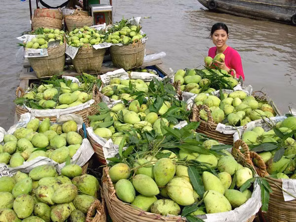 Và say mê với cây trái miệt vườn ĐBSCL.