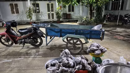 Bắt quả tang người đàn ông vận chuyển gần 1,3 tạ động vật hoang dã