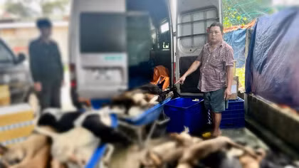 Công an tỉnh Tây Ninh xoá nhiều nhóm “cẩu tặc” chuyên nghiệp