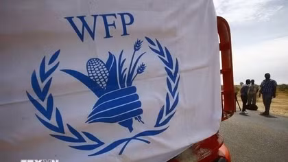 WFP cắt giảm mạnh viện trợ tại Gaza do thiếu hụt tài chính