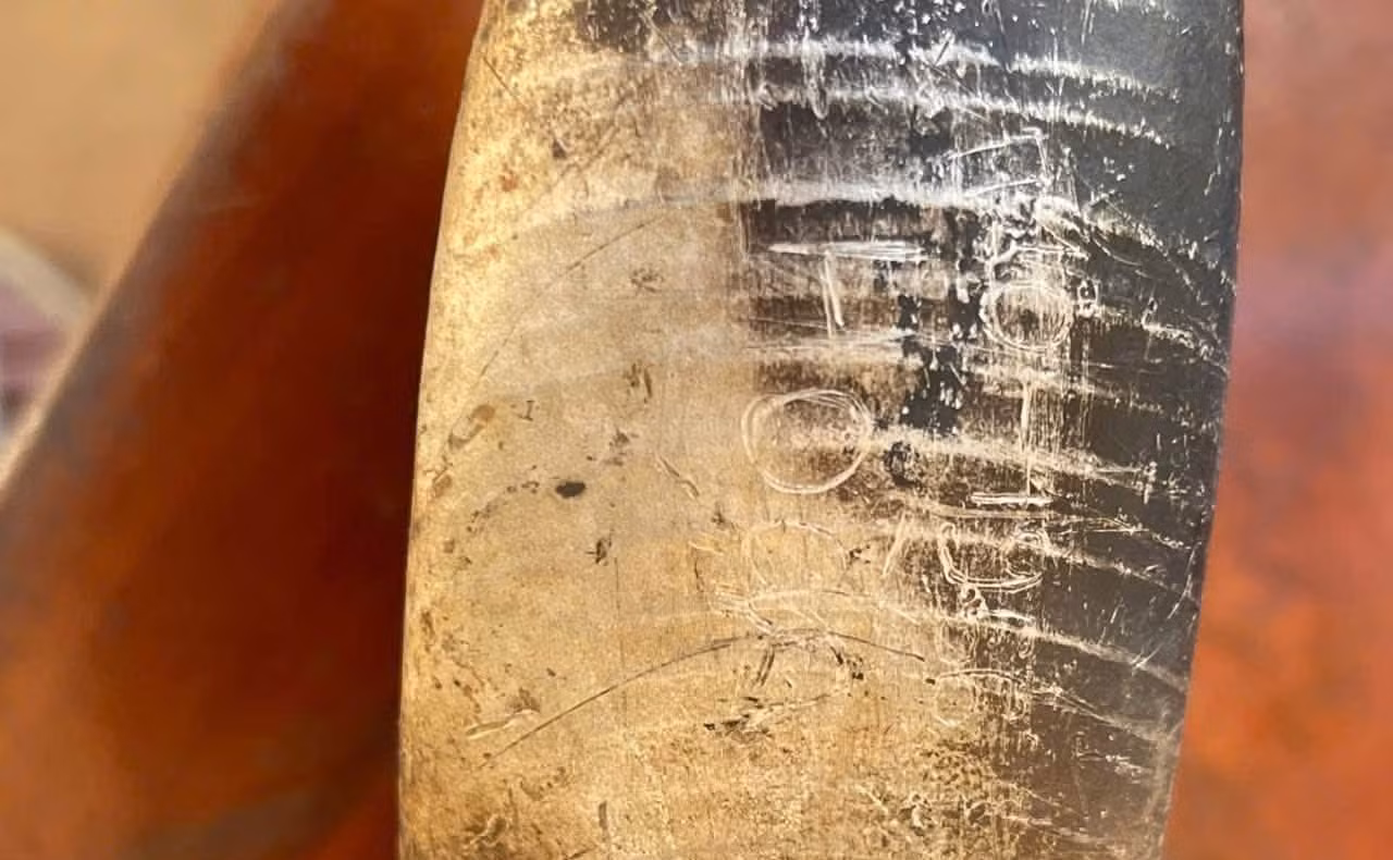 846569438-122130907233380233-3363692958829661021-n.jpg