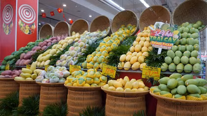 Nhiều kỳ vọng từ Lễ hội trái cây Đồng Tháp lần thứ I