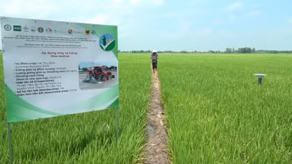 Chuyển đổi xanh – "Chìa khóa" cho nông nghiệp bền vững