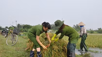 Công an Ninh Bình giúp dân sau mưa lũ